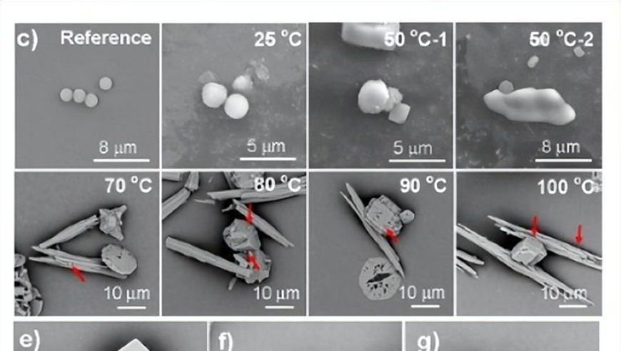 香港2O24管家婆一码一肖资料,山东潍坊一台球厅发生爆炸？假,最新答案解释落实_定制版V11.23